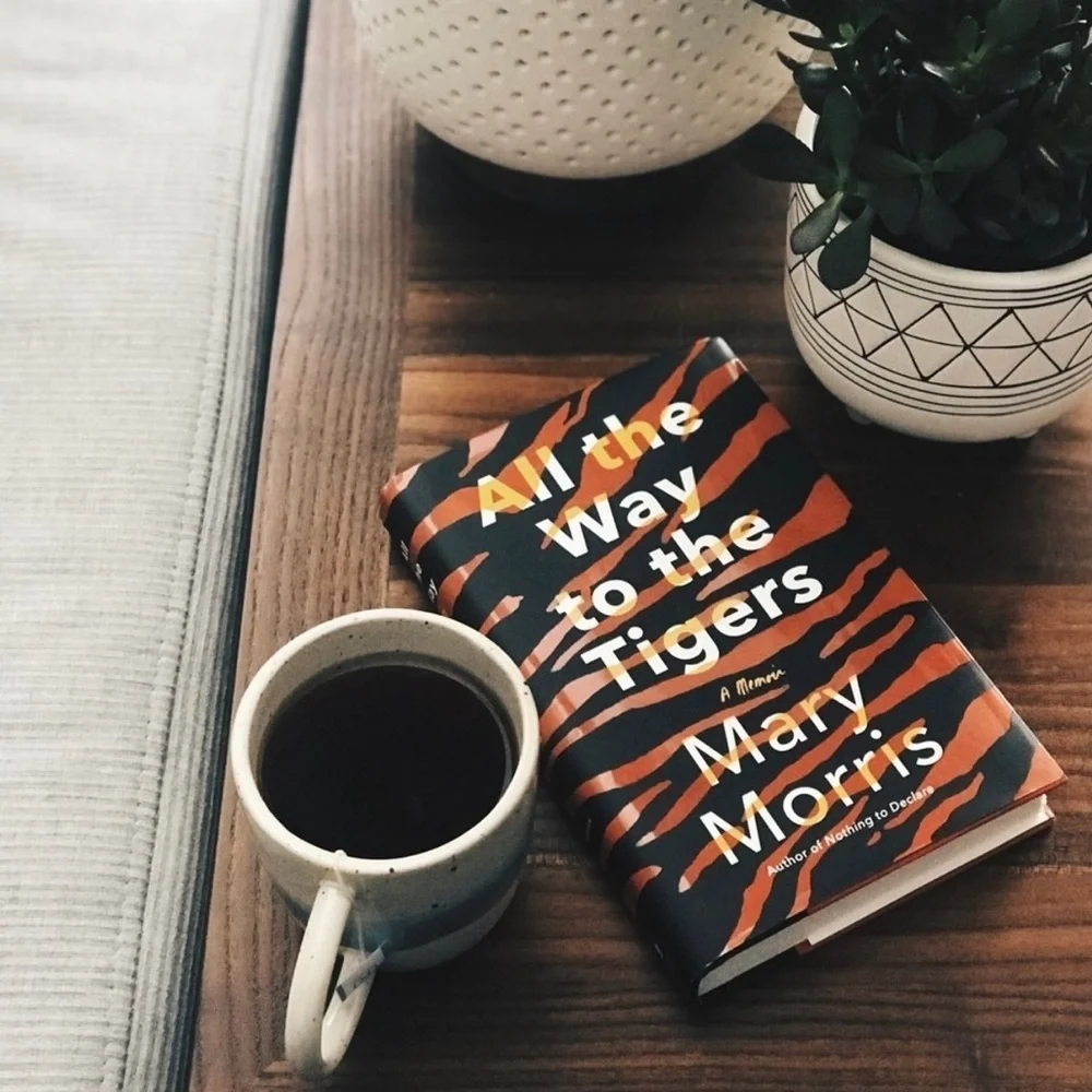 All The Way To The Tigers Hardcover Book